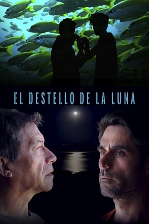 El destello de la luna