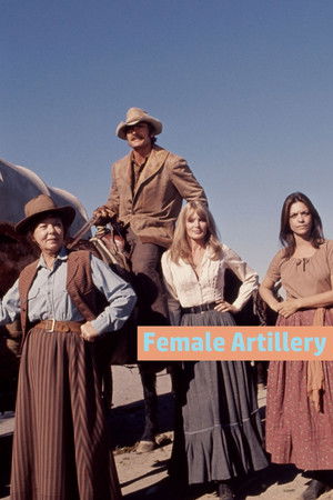 Female Artillery poszter