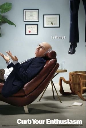 Larry David: Curb Your Enthusiasm poszter