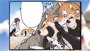 世界の終わりに柴犬と 1. évad Ep.10 10. epizód