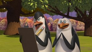 A Madagaszkár pingvinjei 2. évad Ep.7 Az aranymókus elveszett kincse