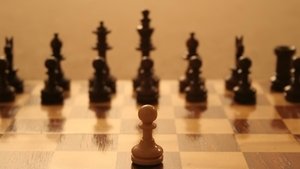 A bajnok - Bobby Fischer nyomában háttérkép