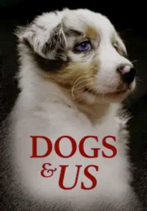 Hund und Mensch: Das Geheimnis einer Freundschaft poszter