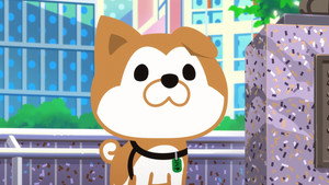 SHIBUYA♡HACHI kép