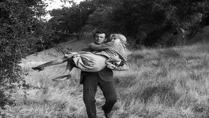 The Fugitive Season 3 Ep.19 19. epizód