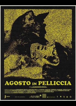 Agosto in pelliccia poszter