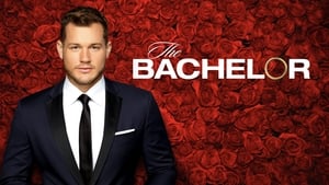 The Bachelor kép