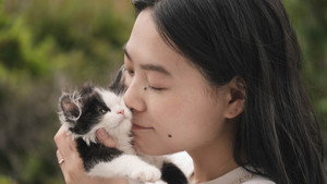 猫は逃げた háttérkép