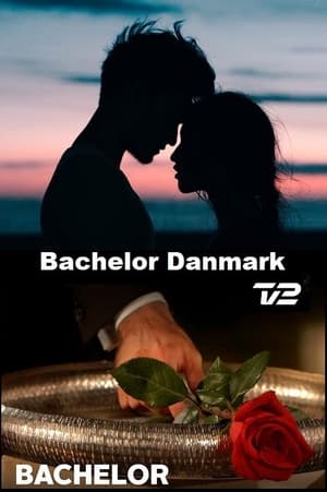 Bachelor poszter