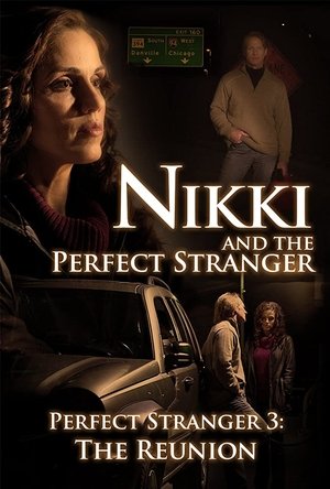 Nikki and the Perfect Stranger poszter