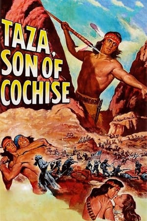 Taza, Cochise fia