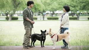 犬に名前をつける日 háttérkép