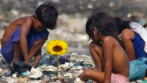 Ilha das Flores háttérkép