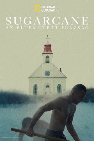 Sugarcane: Az eltemetett igazság