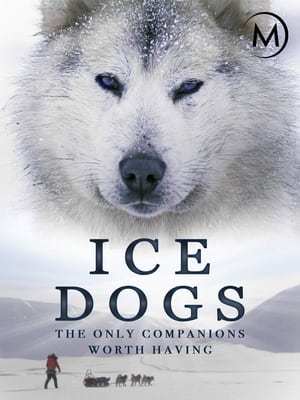 Ice Dogs: The Only Companions Worth Having poszter