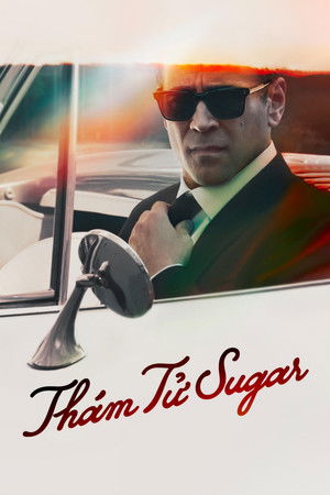 Sugar poszter