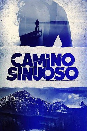 Camino sinuoso poszter