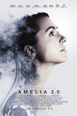 Amelia 2.0 poszter