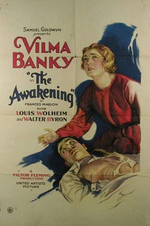 The Awakening poszter