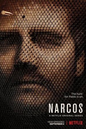 Narcos poszter