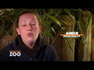 Une saison au zoo Season 5 Ep.32 32. epizód