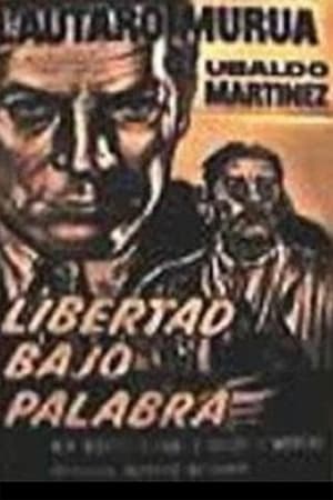 Libertad bajo palabra