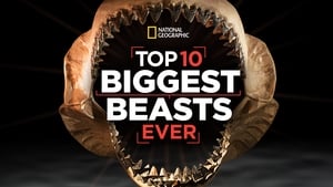 Top 10 Biggest Beasts Ever háttérkép