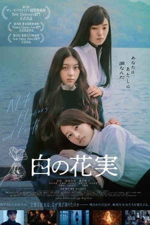 白の花実 poszter