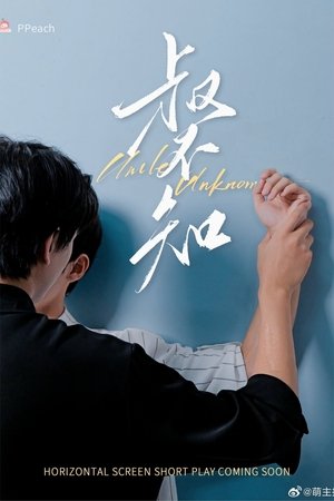 叔不知 poszter