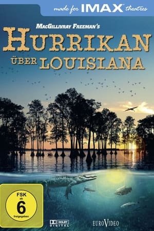 Hurricane on the Bayou poszter