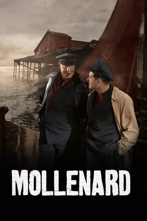 Mollenard