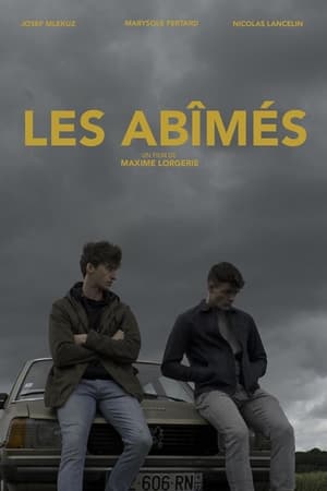 Les abîmés