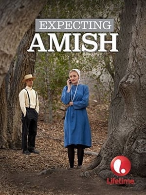 Expecting Amish poszter