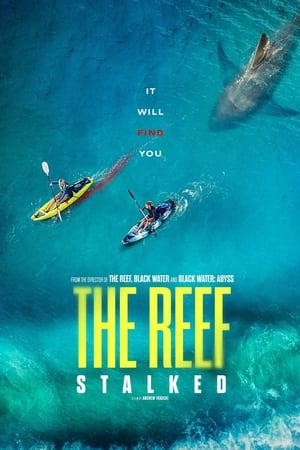 The Reef: Stalked poszter