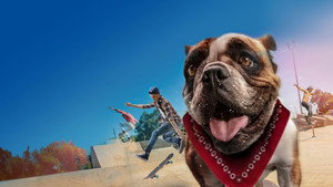 Sk8 Dawg háttérkép
