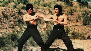 詠春與截拳 háttérkép
