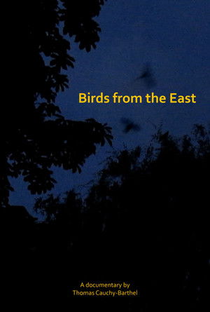 Les oiseaux de l'Est poszter