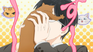 猫になりたい田万川くん háttérkép