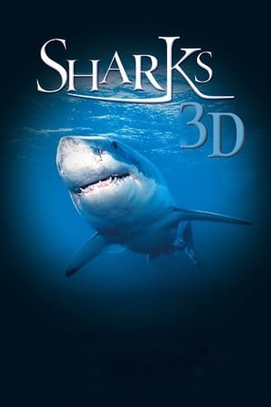 IMAX: Sharks 3D poszter