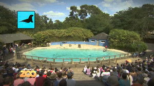 Une saison au zoo Season 4 Ep.3 3. epizód