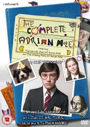 A 13 és 34 éves Adrian Mole titkos naplója poszter