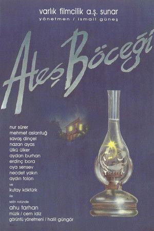 Ateş Böceği poszter