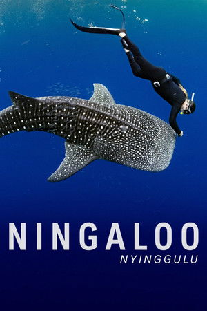 Ningaloo: Az ausztrál óceán csodája poszter