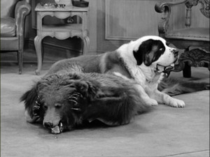 I Love Lucy Season 4 Ep.30 30. epizód