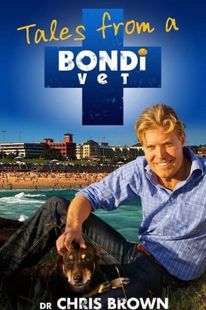 Bondi Vet poszter