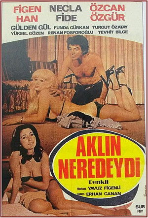 Aklın Neredeydi poszter