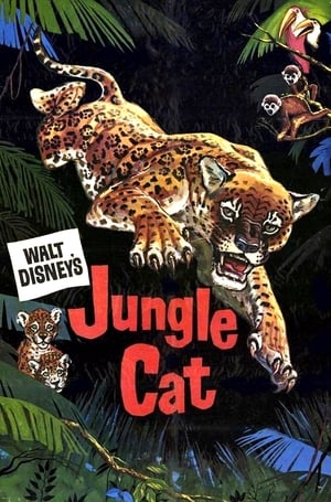 Jungle Cat poszter