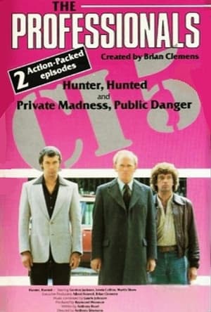 The Professionals poszter