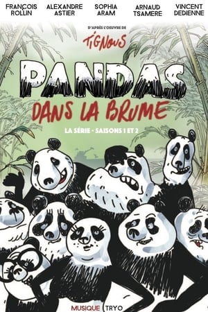 Pandas dans la brume poszter