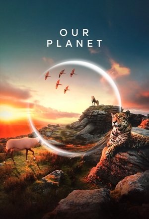 Our Planet – Bolygónk csodái poszter